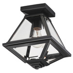 Prism Outdoor Ceiling Light - Black / Clear