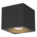 Stout Square 120-277V Indoor/ Outdoor Ceiling Light - Black