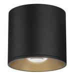Stout Round 120-277V Indoor/ Outdoor Ceiling Light - Black