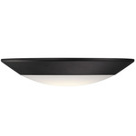 Disc Ceiling Light - Black / White