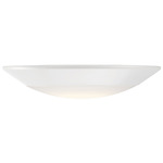 Disc Ceiling Light - White / White