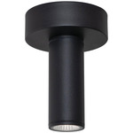 Beverly Outdoor Color-Select Ceiling Light - Black