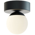 Pearl Ceiling Light - Black / White