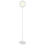Ring Floor Lamp - White / White