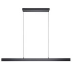 Climene Linear Pendant - Black / Black
