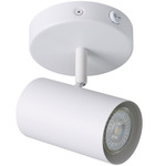 Calloway Ceiling Light - White / White