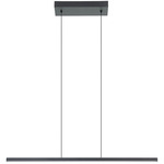 Amrisa Linear Color-Select Pendant - Black / White Acrylic