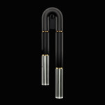 Antonia Wall Sconce - Black / Brass / No Skin / Clear