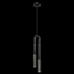 Antonia Pendant - Black / Brass / No Skin / Clear