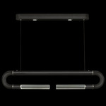 Antonia Linear Pendant - Black / Nickel / No Skin / Clear