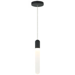 Aydin Pendant - Matte Black / Frosted