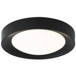Essene Ceiling Light - Black / White