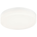 Zelle Ceiling Light - White / White