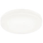 Zelle Ceiling Light - White / White