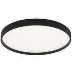 Alexandre Ceiling Light - Black / White