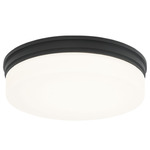 Circian Ceiling Light - Matte Black / Opal