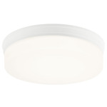 Circian Ceiling Light - Matte White / Opal