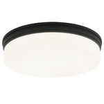 Circian Ceiling Light - Matte Black / Opal