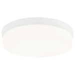 Circian Ceiling Light - Matte White / Opal