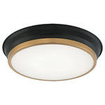 Jaxx Ceiling Light - Aged Gold Brass / Black / Frost