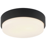 Quintz Ceiling Light - Matte Black / White