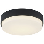 Quintz Ceiling Light - Matte Black / White