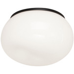 Gelasin Wall / Ceiling Light - Black / Opal