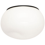 Gelasin Wall / Ceiling Light - Black / Opal