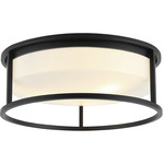 Framerton Ceiling Light - Matte Black / White