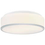 Echo Ceiling Light - Chrome / White