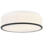Echo Ceiling Light - Matte Black / White