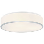 Echo Ceiling Light - Chrome / White