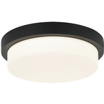 Durham Ceiling Light - Matte Black / White