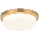 Durham Ceiling Light - Aged Gold Brass / White