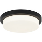 Durham Ceiling Light - Matte Black / White