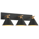 Bliss Bathroom Vanity Light - Aged Gold Brass / Matte Black