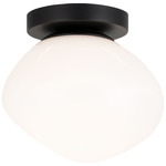 Melotte Wall / Ceiling Light - Black / Opal