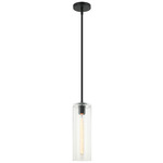 Lincoln Pendant - Matte Black / Clear