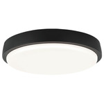 Zane Color Select Ceiling Light - Matte Black / White
