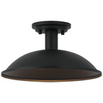 Farmley Indoor / Outdoor Ceiling Light - Matte Black