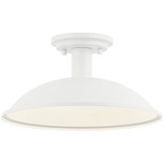 Farmley Indoor / Outdoor Ceiling Light - Matte White