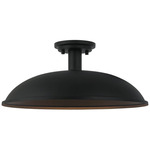 Farmley Indoor / Outdoor Ceiling Light - Matte Black