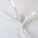 Superordinate Antler Wall Sconce - White