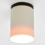 Surface Ceiling Light - Oil Rubbed Bronze / White