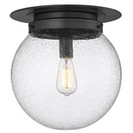 Calhoun Ceiling Light - Matte Black / Clear Seedy