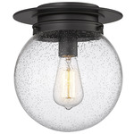 Calhoun Ceiling Light - Matte Black / Clear Seedy