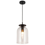 Sylvia Pendant - Matte Black / Clear