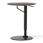 Branch Side Table - Black / Dark Oak