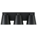 Alden Bathroom Vanity Light - Matte Black / White