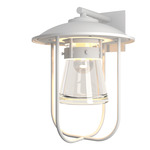 Erlenmeyer Large Outdoor Wall Sconce - Coastal White / Clear